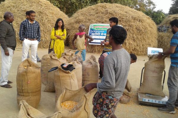 Maize procurement in Chhattisgarh